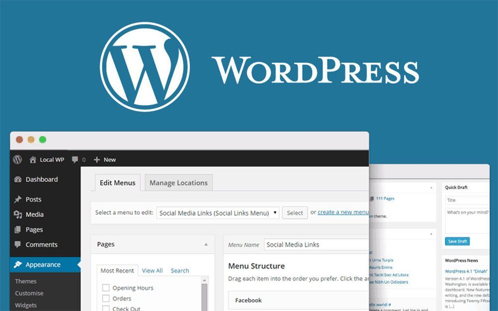WordPress CMS vs. Other Platforms: Which is Right for Your Website?